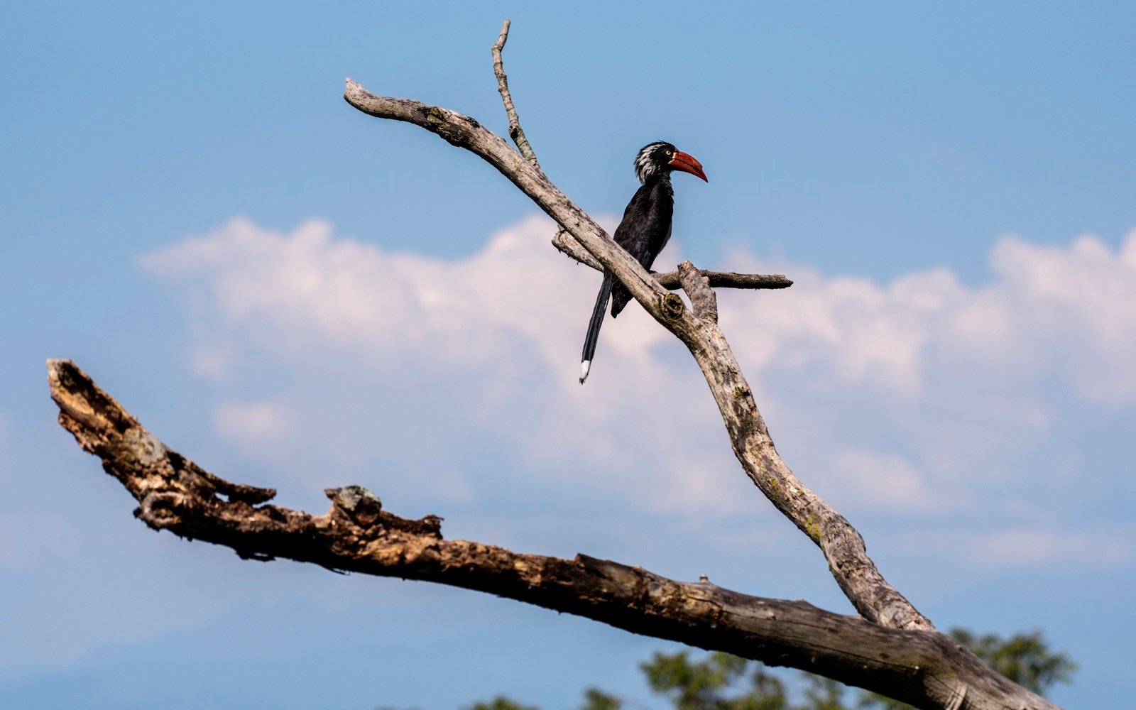 Semuliki National Park