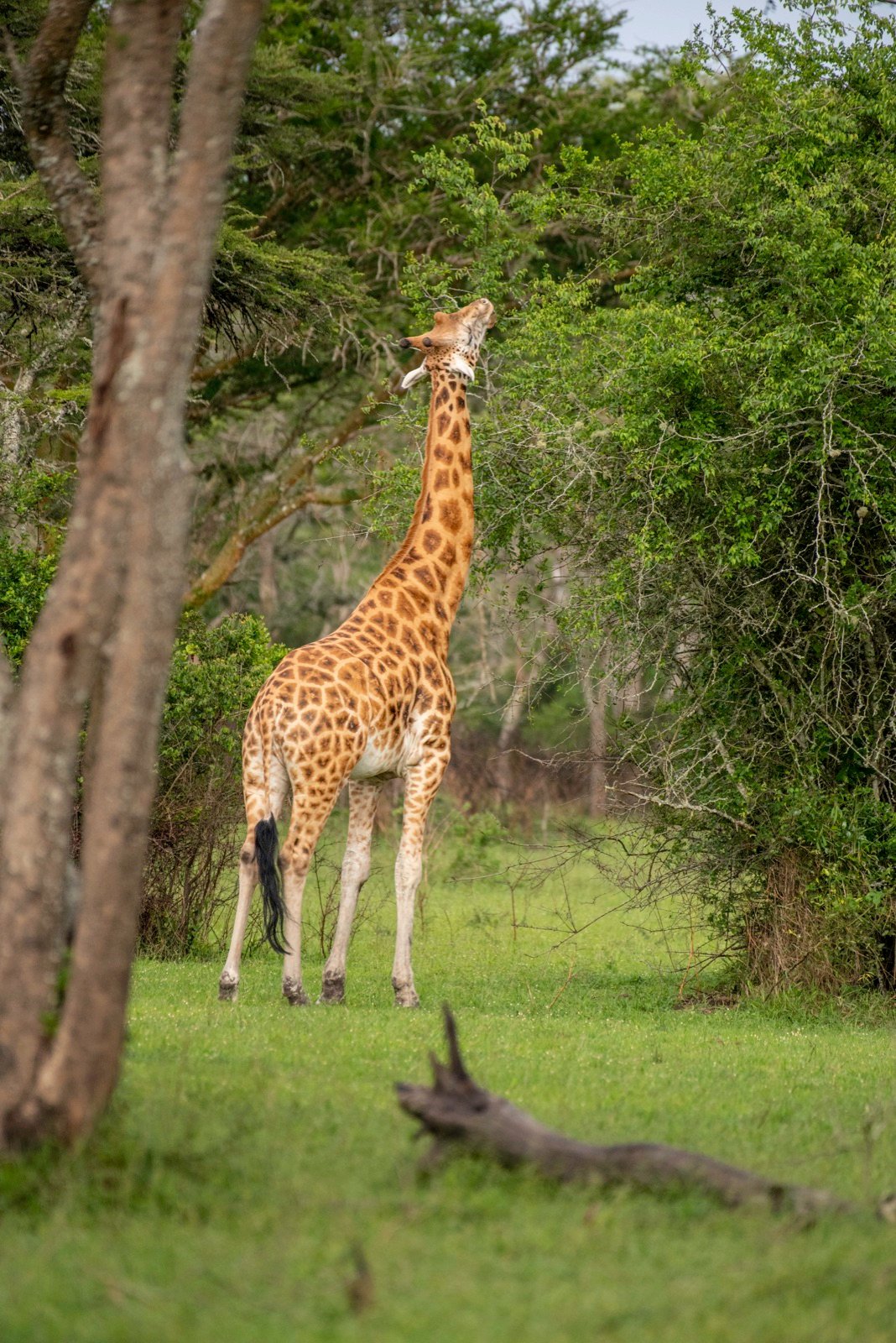 Lake Mburo National Park